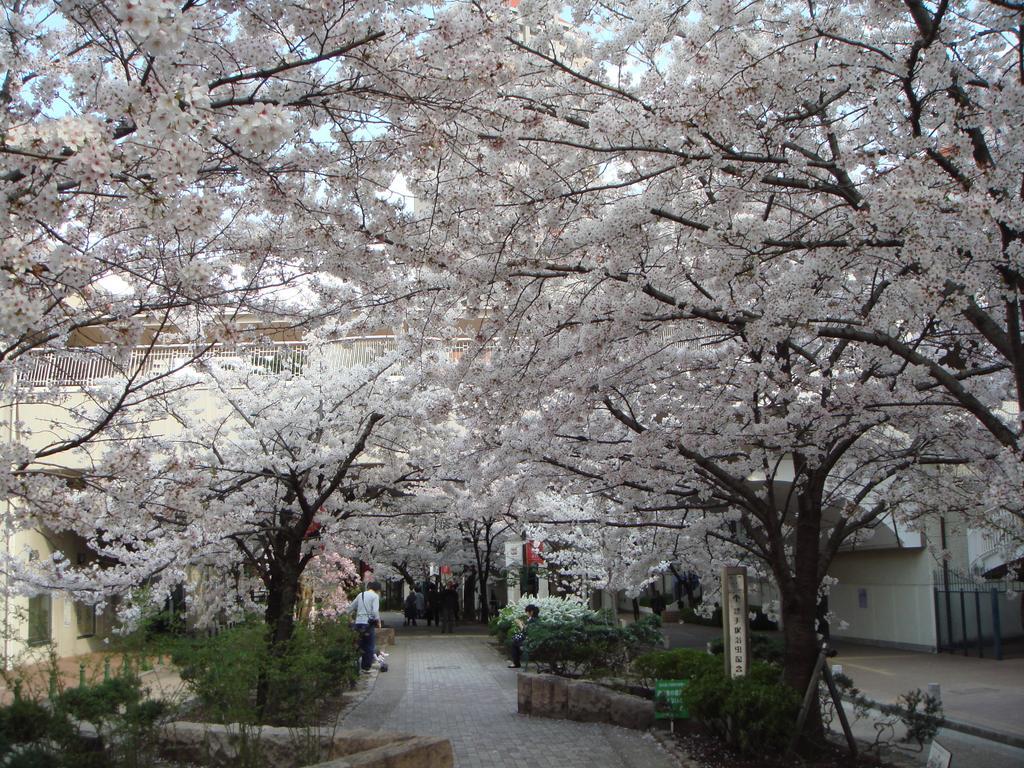 Hotel Wakamizu Takarazuka Extérieur photo
